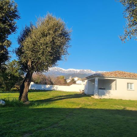 Location "Casa Monna" Apartment Prunelli-di-Fiumorbo Bagian luar foto